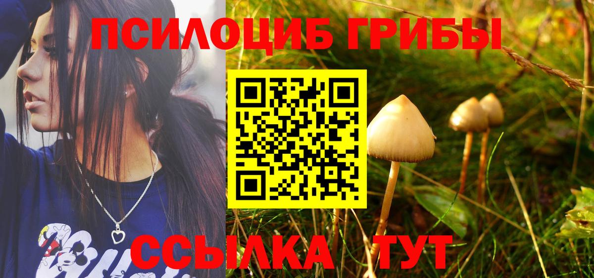 Орск  Псилоцибиновые грибы ЛСД  Псилоцибиновые грибы GOLDEN TEACHER  Вход с VPN 