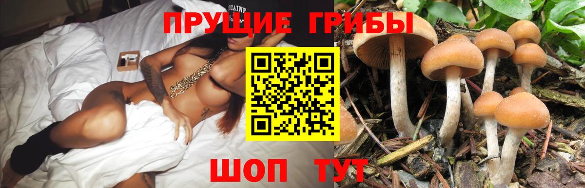 Псилоцибиновые грибы GOLDEN TEACHER Орск